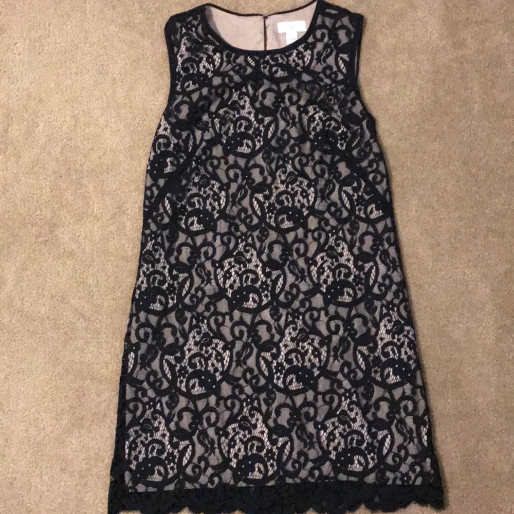 LOFT Cocktail Dress